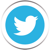 Twitter icon